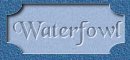 Waterfowl